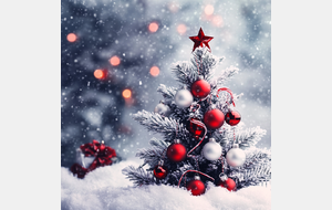 Horaires des entraînements - Vacances de Noël 2024